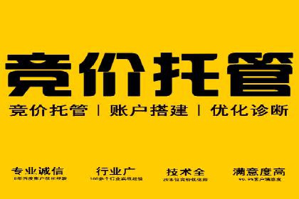 某品牌通过SEM优化实现品牌增长的故事